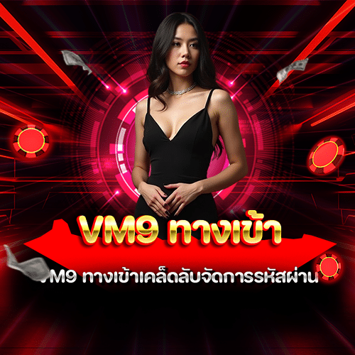 vm9 ทางเข้า